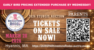 Rhinestone Rodeo Auction banner
